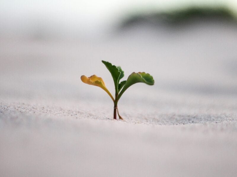 Grandir Capital Consulting